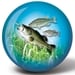 Bass Fishing Glow
